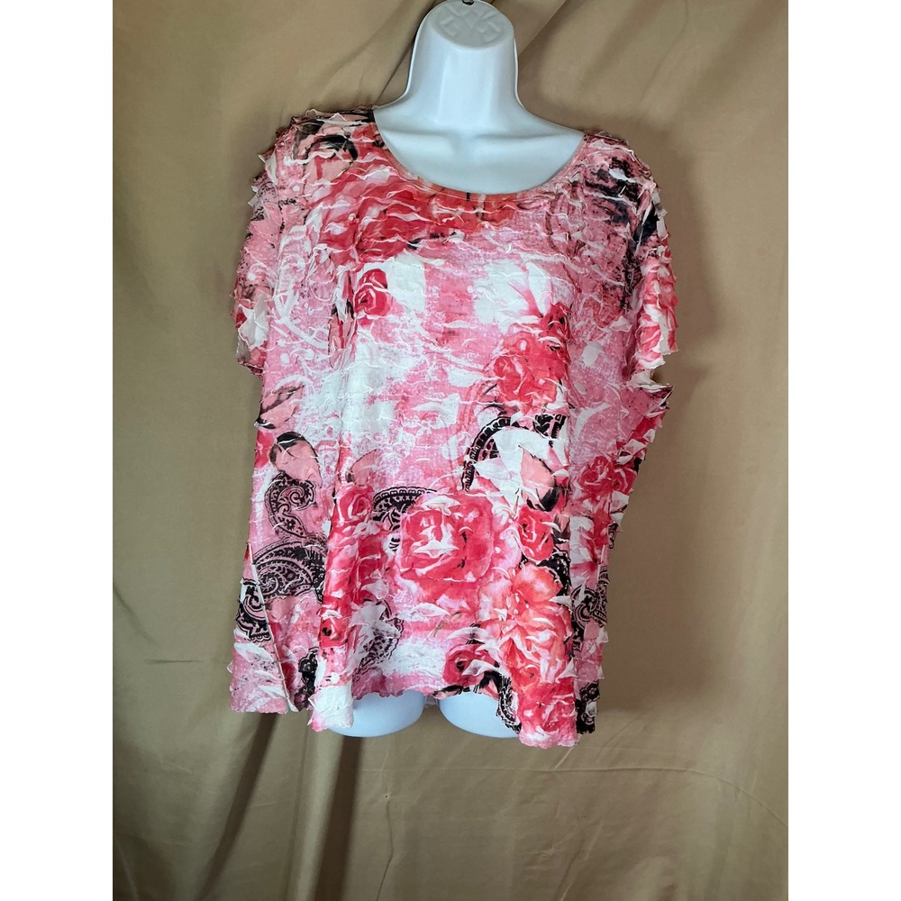 Cato Floral Mesh Top Womens 18/20 Pink Good Ruffle Short Sleeve Rose Paisley